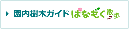 園内樹木ガイド はなもく散歩　新しいウインドウ（タブ）で開きます